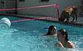 pool play at McGlinchey Hilton