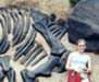 Jill visits a Triceratop